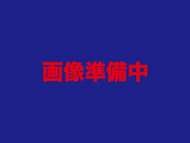 ガゾリンスタンド植木店
